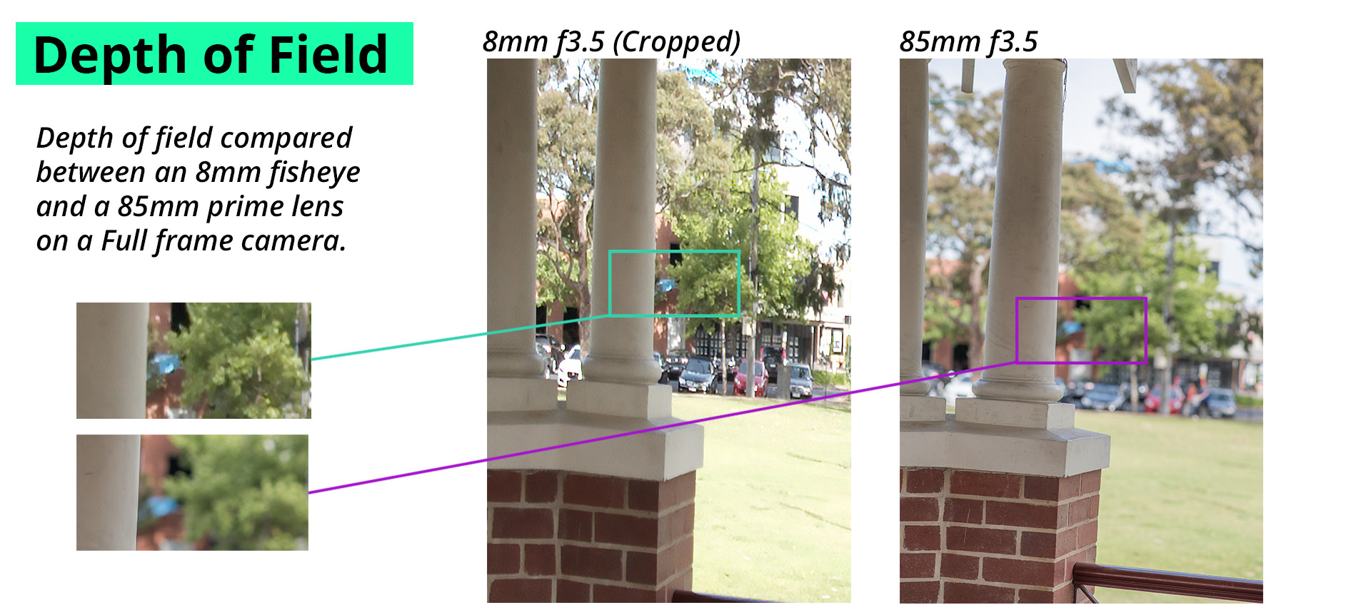 Img_24_Dof comparison